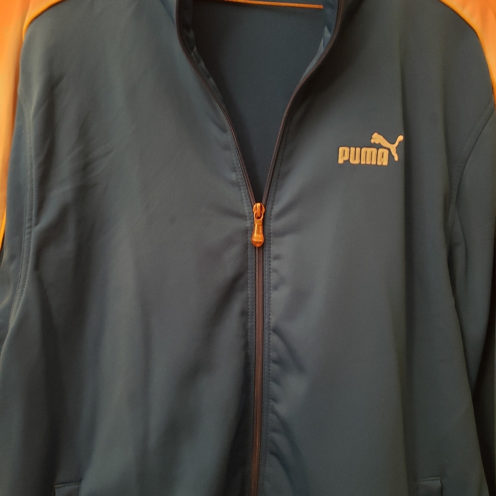 Men puma